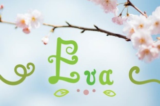 Eva Script: The Playful Handwritten Font for Small Business Branding