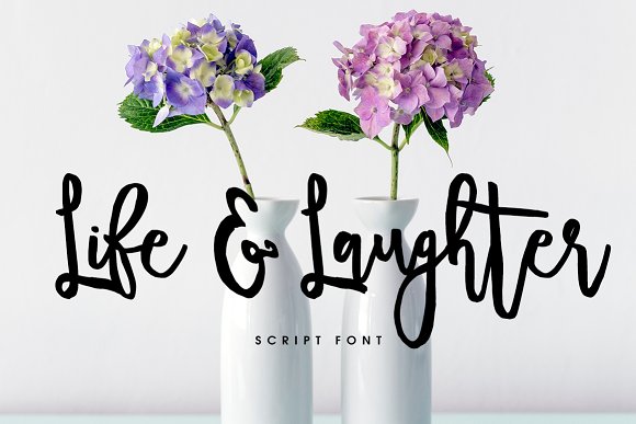 Life Laughter Font for Business Branding