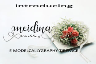 Meidina: A Handwritten Font for Creative Campaigns