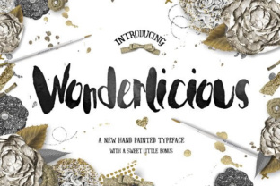 Wonderlicious Font for Elegant Design